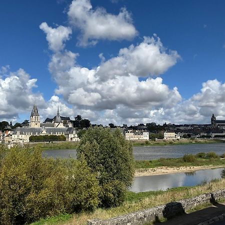 Gites Des Cygnes Vue Sur Loire Et Linge Inclus 布鲁瓦 外观 照片